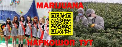 сатива Славгород