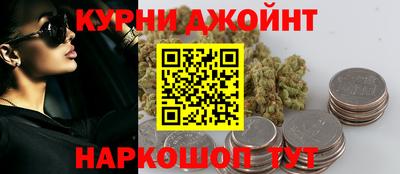сатива Славгород
