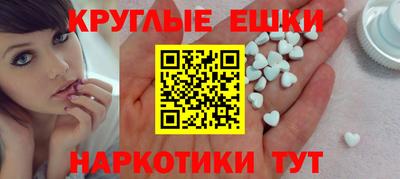 сатива Славгород