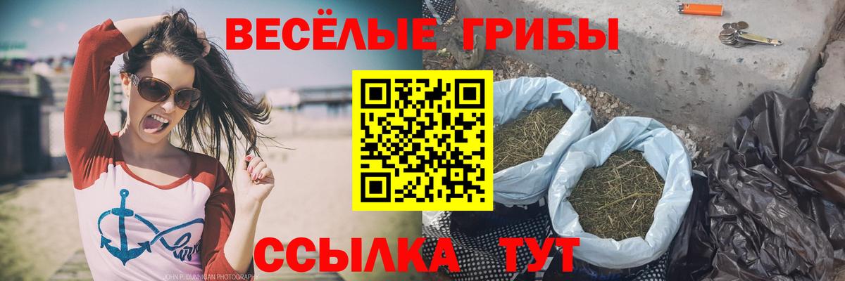 Псилоцибиновые грибы MAGIC MUSHROOMS  Псилоцибиновые грибы мицелий  дарнет шоп  Благодарный  Вход с VPN 